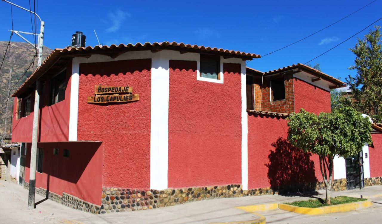 Casa Hospedaje"Los Capulies" Carhuaz Exterior photo